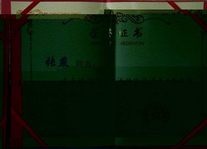 教書育人優秀标兵——記體育學院公體一部支部書記張燕